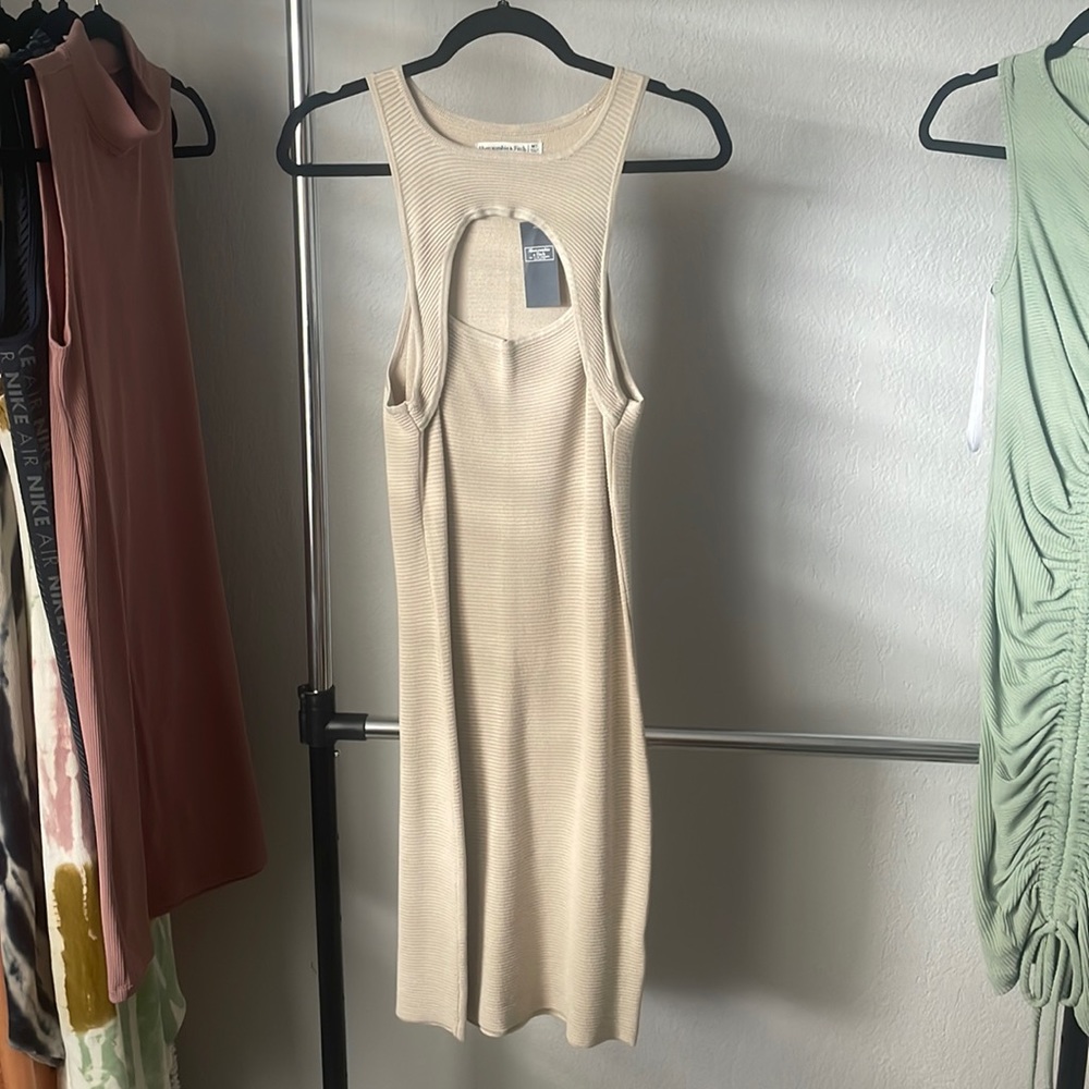 Tan Abercrombie and finch dress